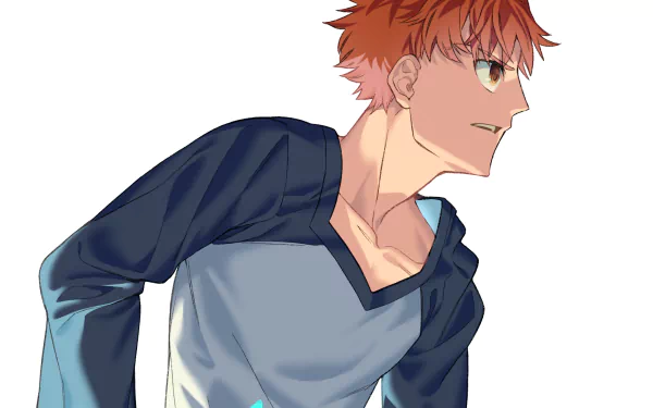 Shirou Emiya Anime Fate/Hollow Ataraxia HD Desktop Wallpaper | Background Image