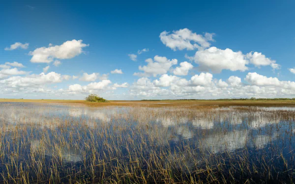 Everglades National Park 4k Wallpapers