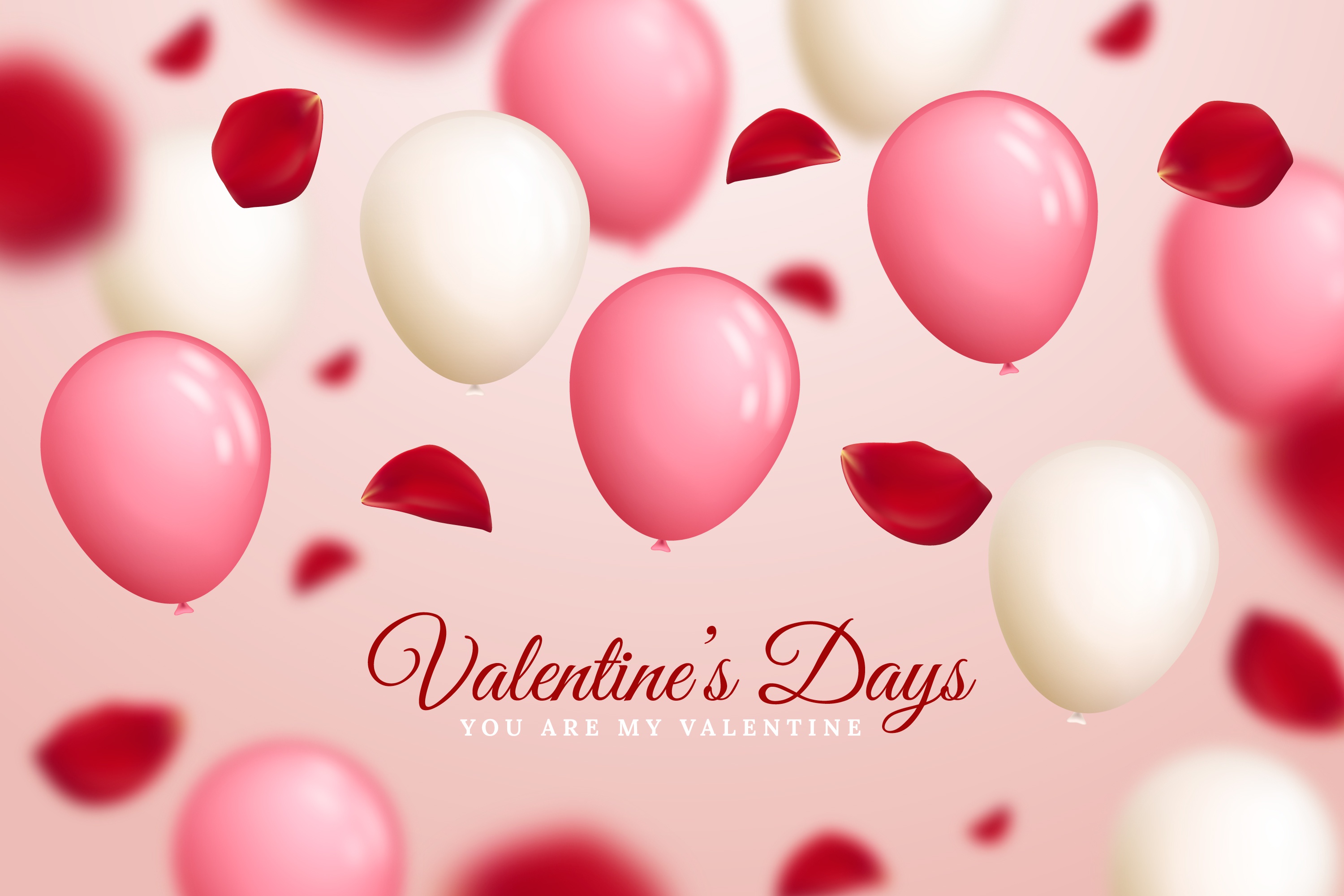 Holiday Valentine's Day HD Wallpaper