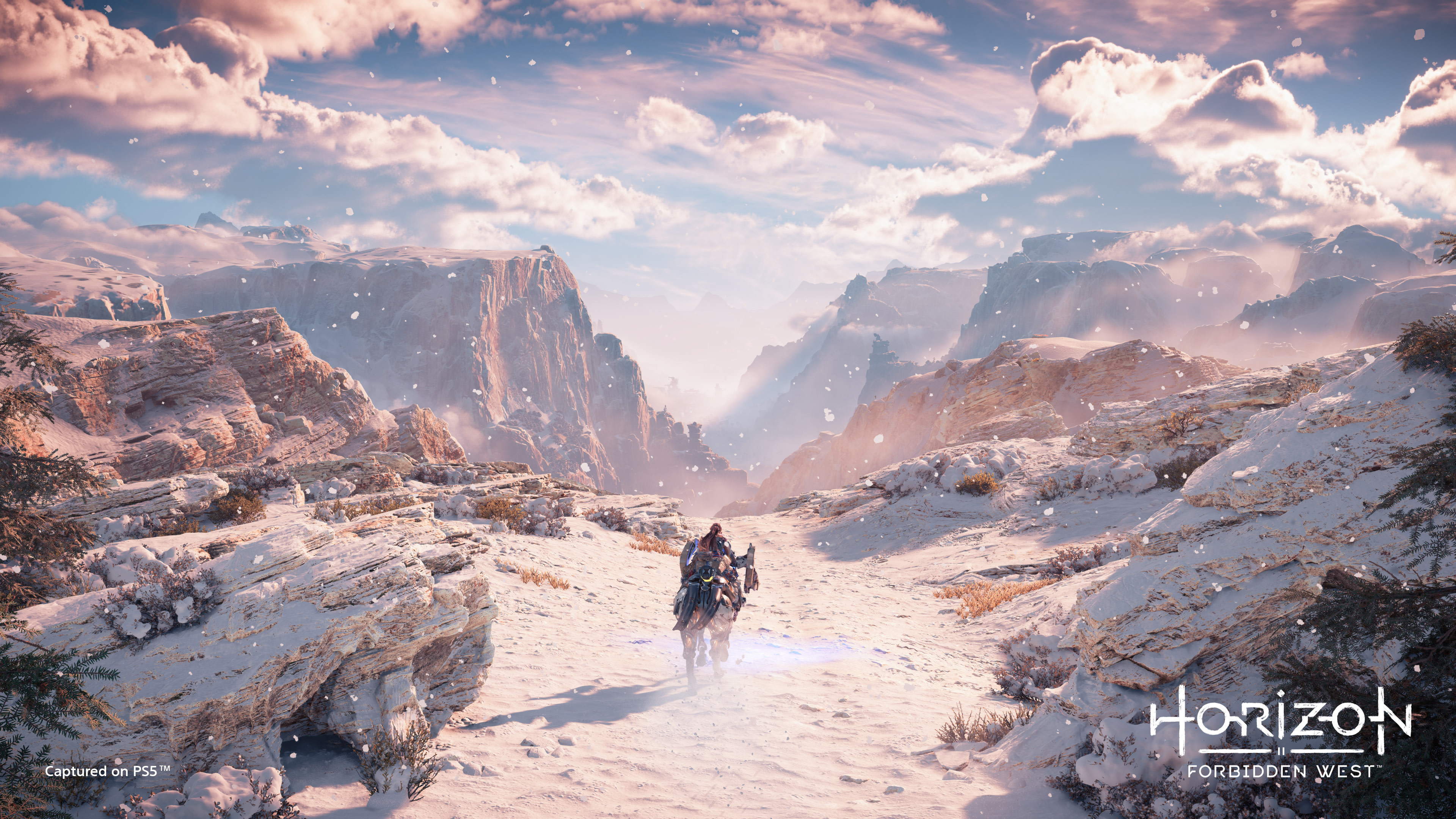 Giao diện đẹp của đĩa PS5 Horizon Forbidden West 