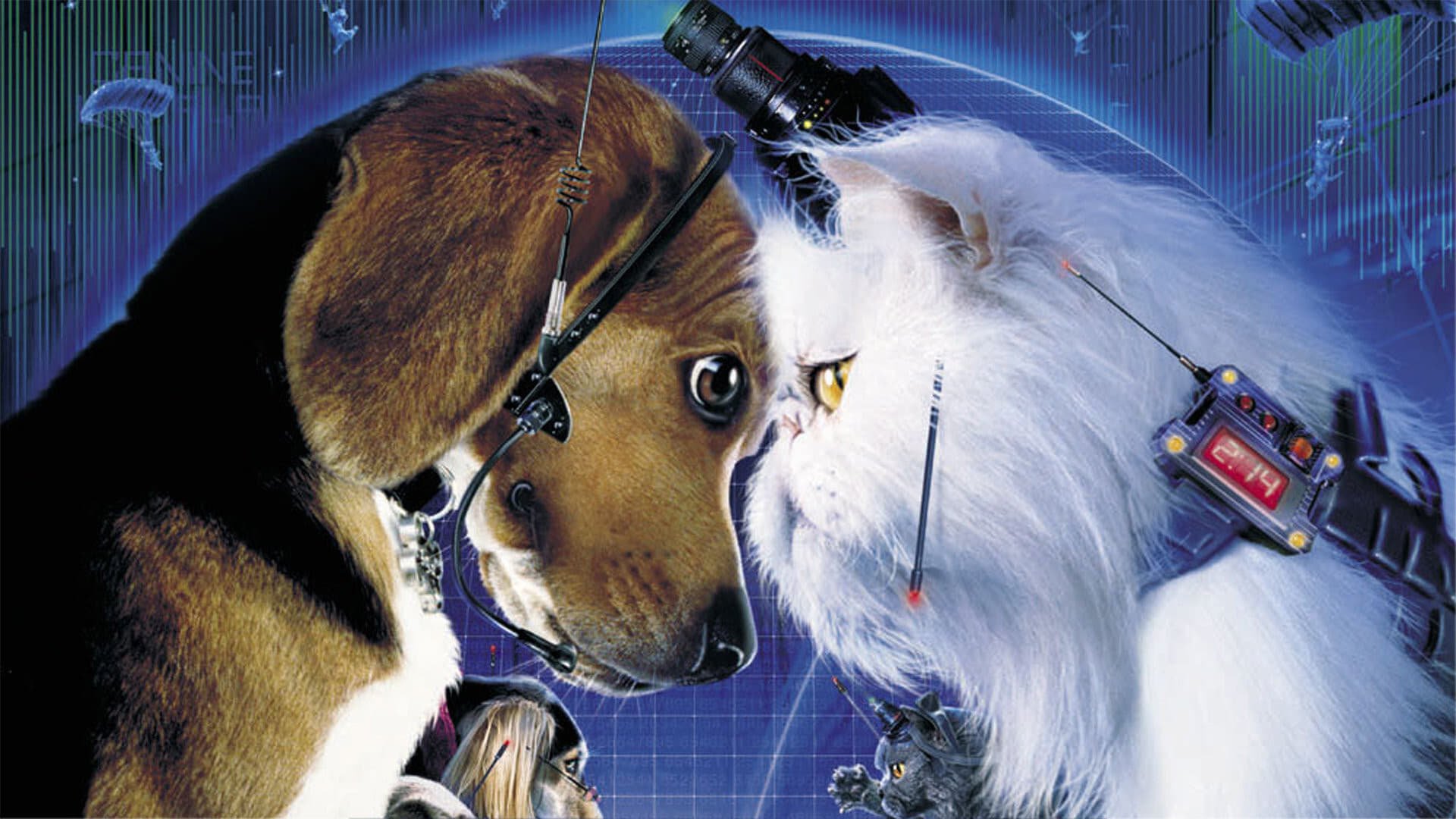 Download Movie Cats & Dogs HD Wallpaper