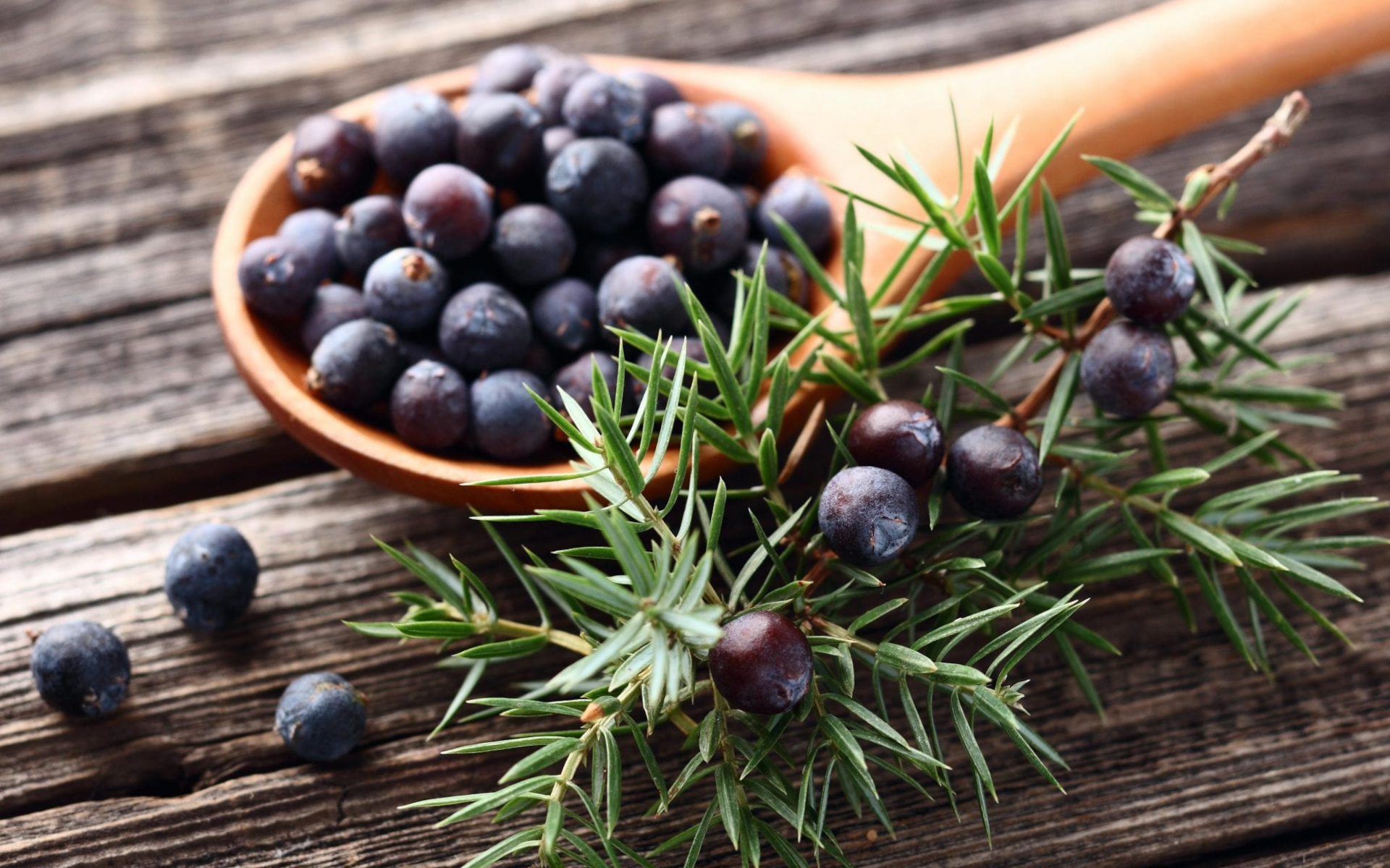 Download Spoon Juniper Food Berry HD Wallpaper