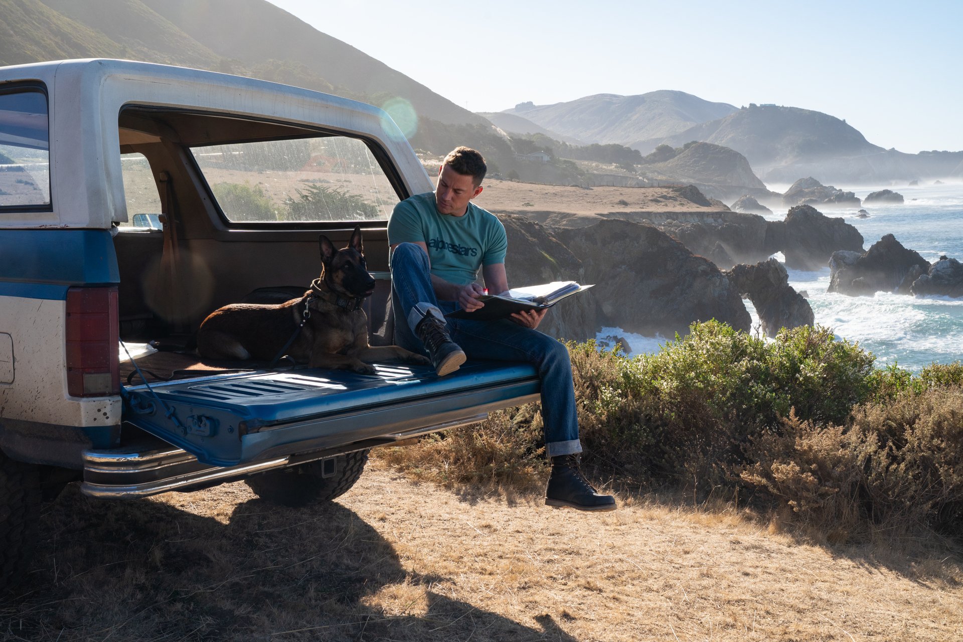 Download Channing Tatum Movie Dog 4k Ultra HD Wallpaper