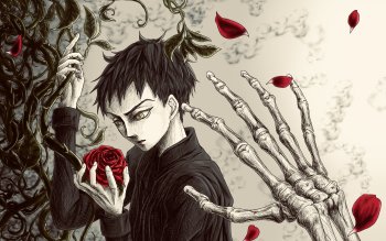 Wallpaper ID: 1219951