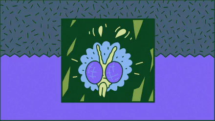 HD desktop wallpaper featuring a whimsical illustration of round glasses on a floral background with a grounded theme.