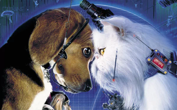 movie Cats & Dogs HD Desktop Wallpaper | Background Image