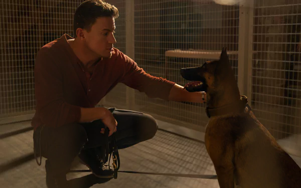 Channing Tatum movie dog HD Desktop Wallpaper | Background Image