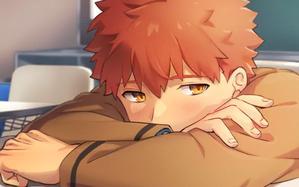 Shirou Emiya Anime Fate/Stay Night HD Desktop Wallpaper | Background Image