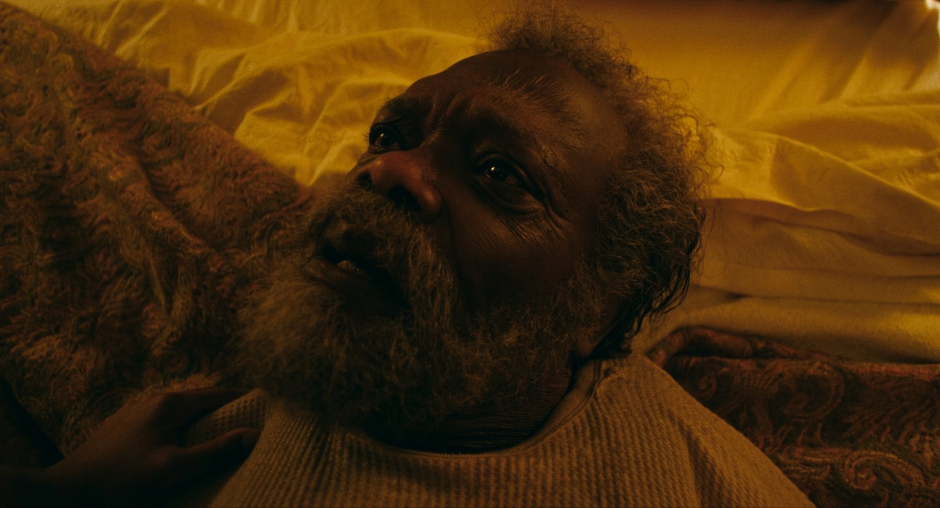 Download Samuel L. Jackson TV Show The Last Days Of Ptolemy Grey HD Wallpaper