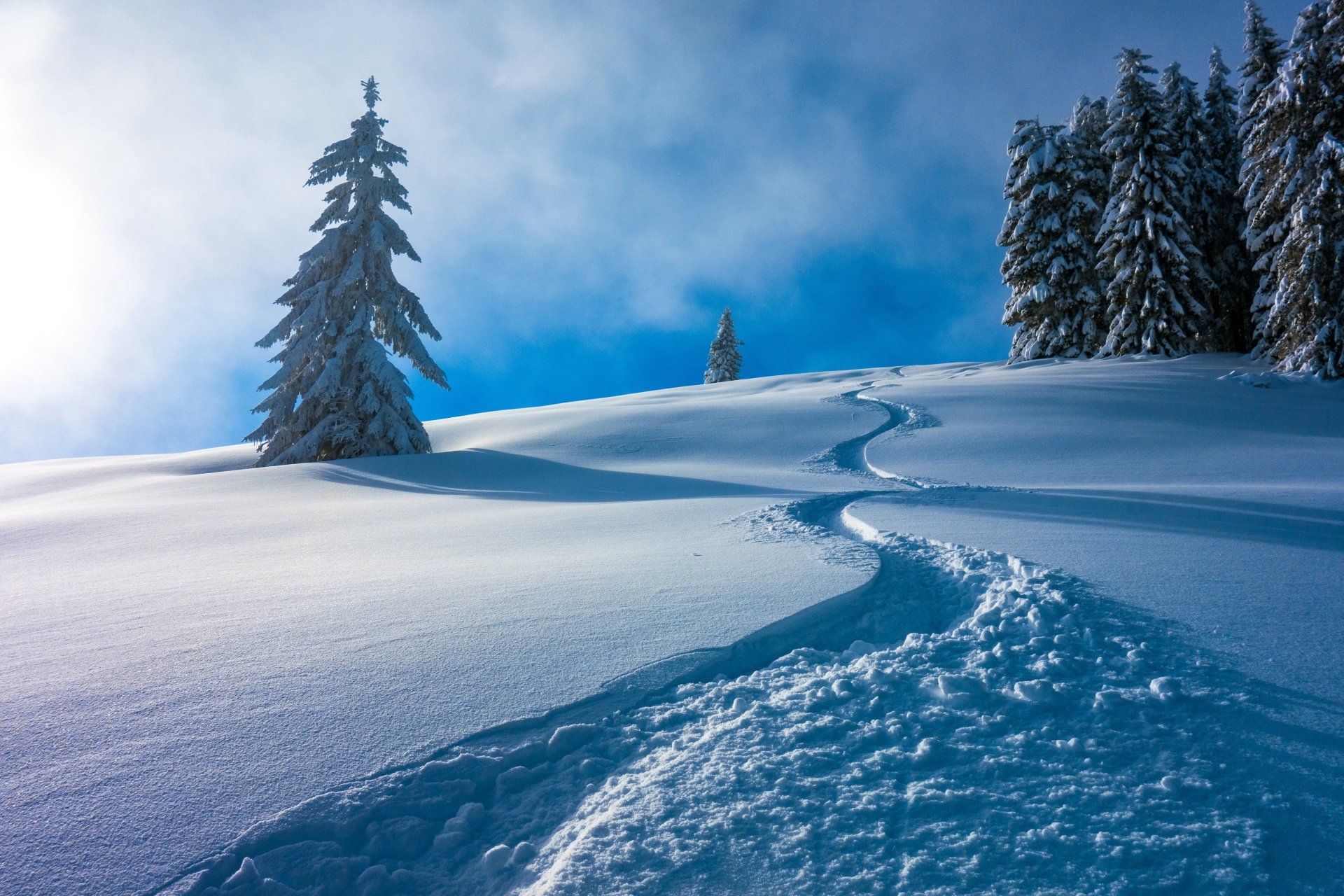 Snow-covered landscape in Austria with a winding trail through fresh winter snow, framed by tall, frosted trees under a clear blue sky, captured in 4K Ultra HD.