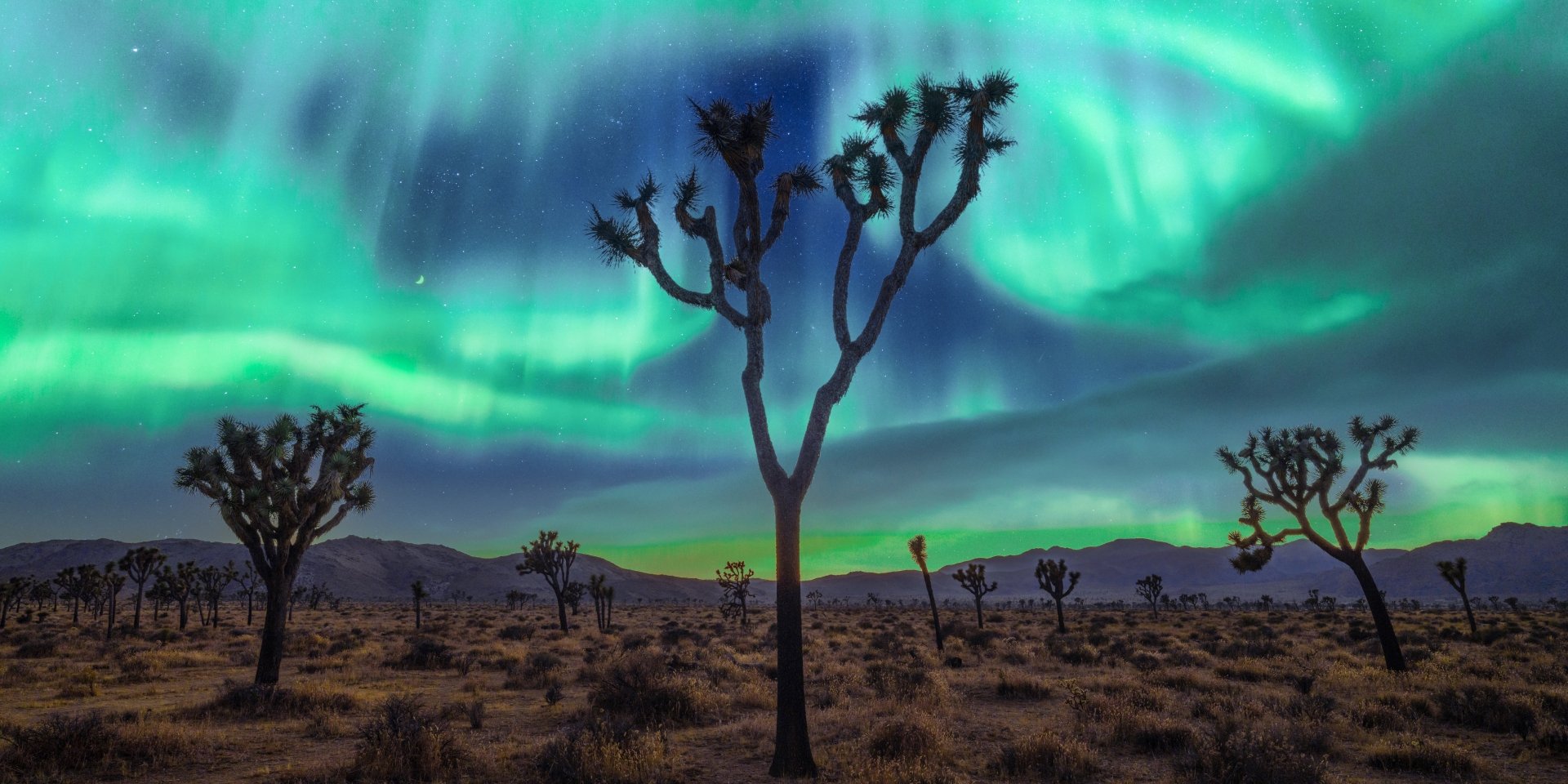 Download Aurora Borealis Night Nature Joshua Tree National Park 4k Ultra HD Wallpaper