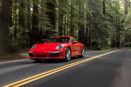 vehicle Porsche 911 Carrera HD Desktop Wallpaper | Background Image