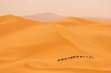 sand dune desert photography caravan HD Desktop Wallpaper | Background Image