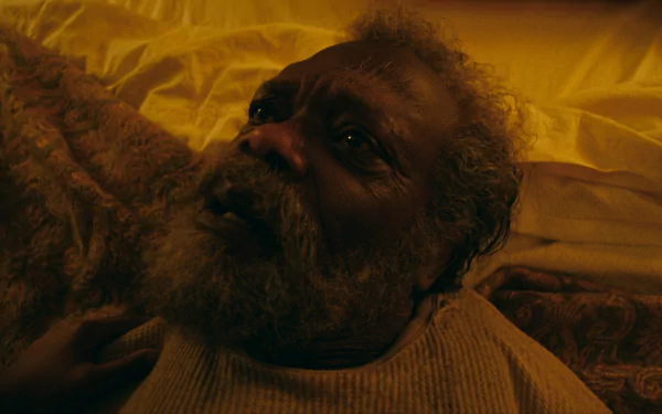 Samuel L. Jackson TV Show The Last Days of Ptolemy Grey HD Desktop Wallpaper | Background Image