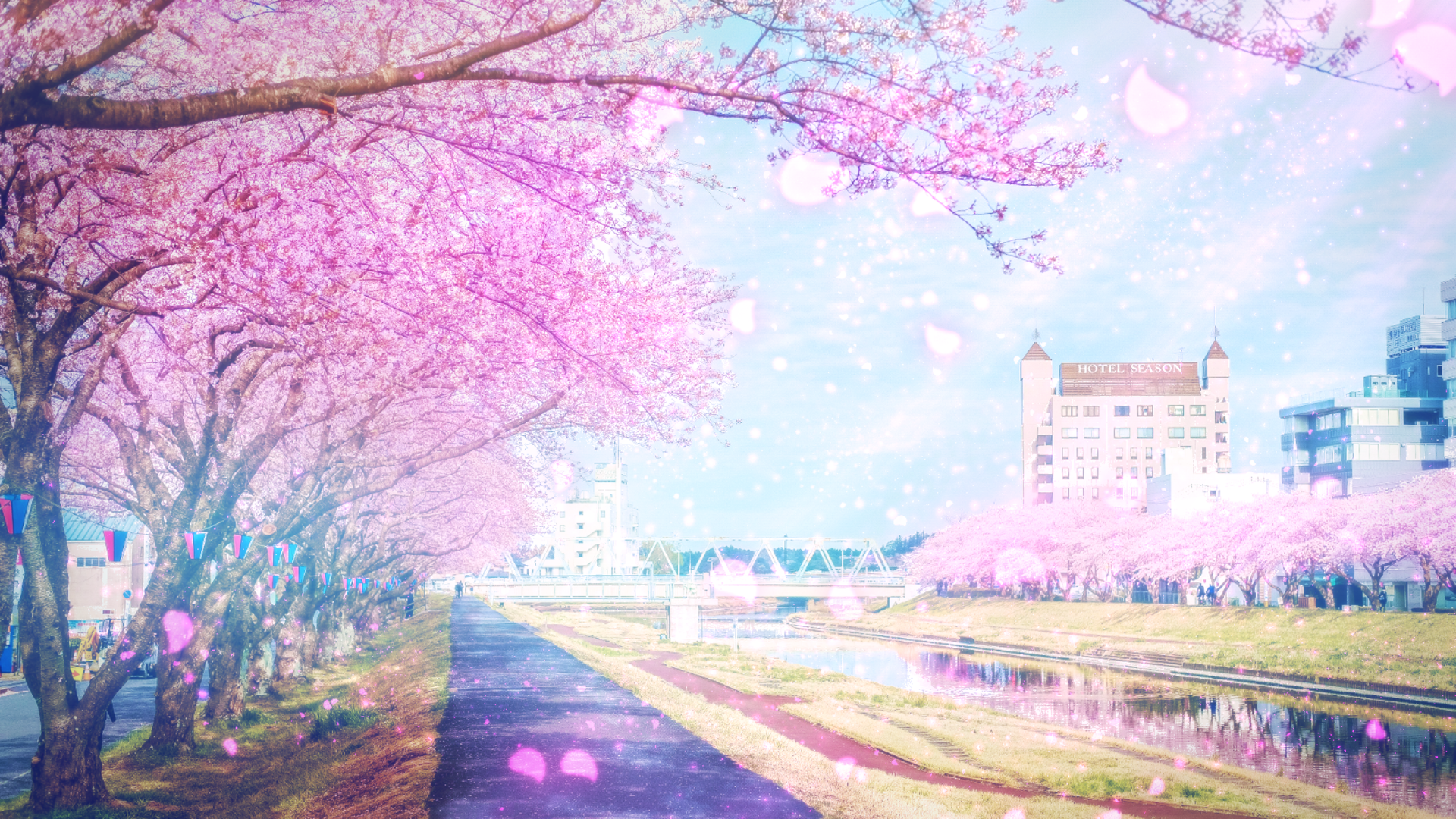 Anime Path HD Wallpaper | Background Image