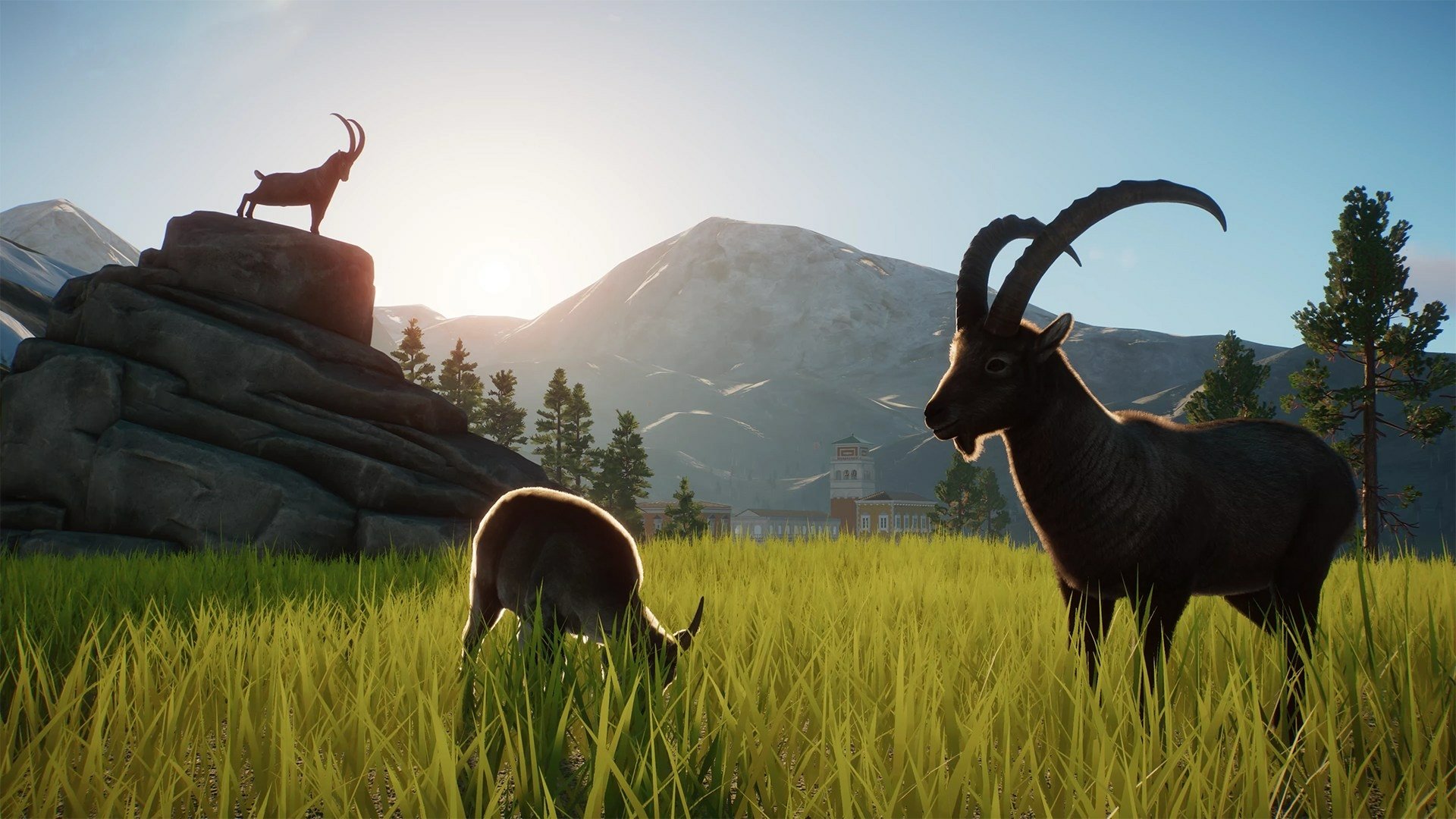 Download Video Game Planet Zoo HD Wallpaper