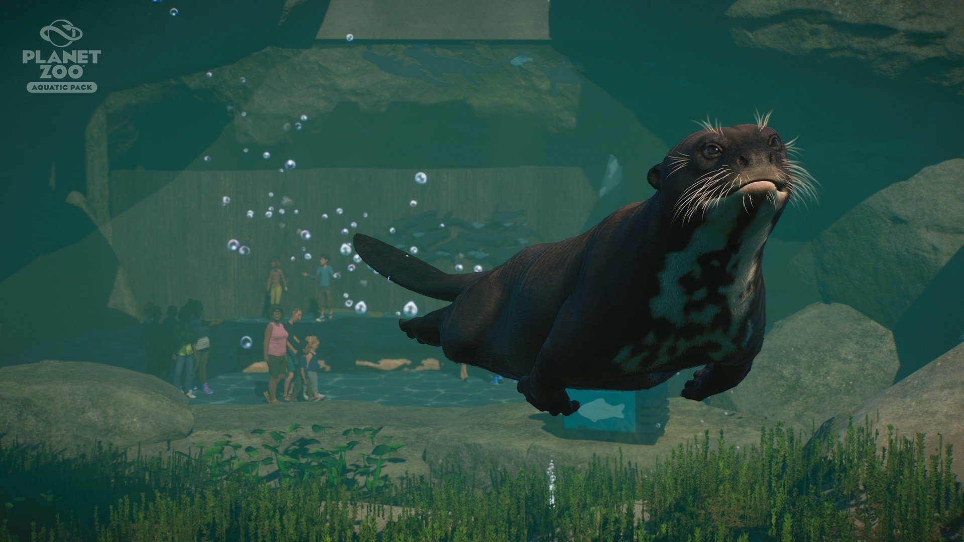 Планета животных игры. Планета Zoo игра. Planet Zoo: Aquatic Pack. Бразильская выдра Planet Zoo. Планета зоопарк игра.