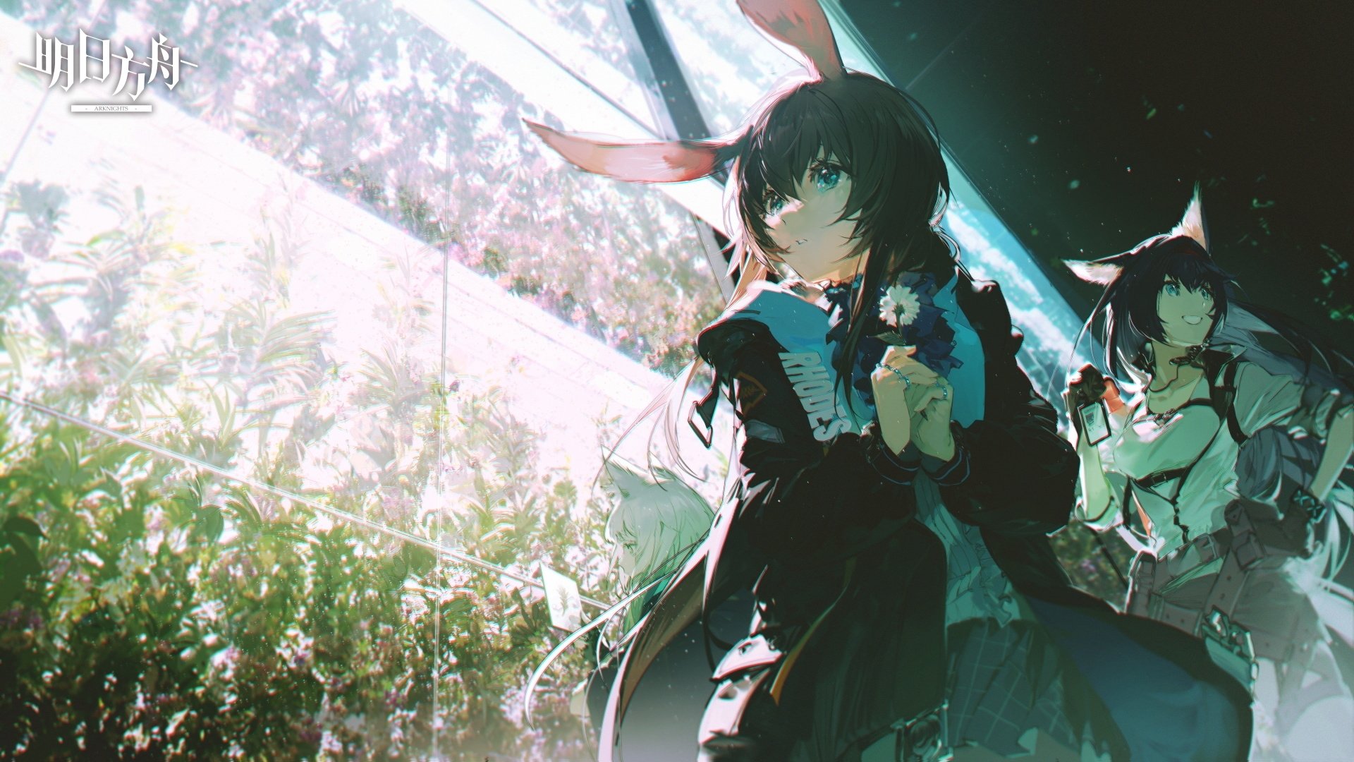 HD PC desktop wallpaper featuring Amiya from the video game Arknights, showcasing detailed anime-style art with vibrant lighting and a lush background.