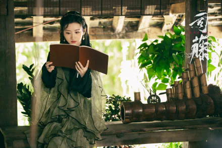 Si Teng TV Show Rattan HD Desktop Wallpaper | Background Image