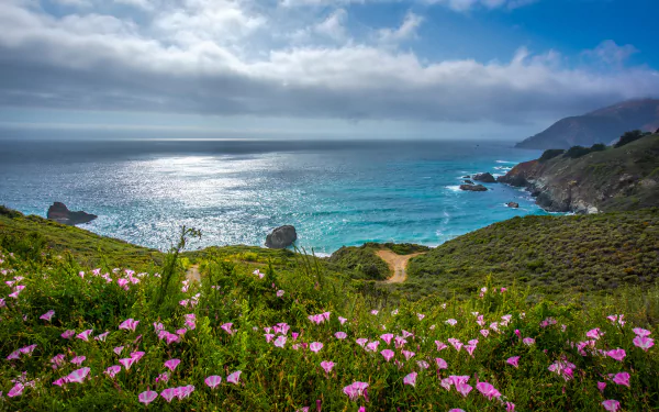 coast California nature ocean HD Desktop Wallpaper | Background Image