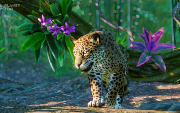 video game Planet Zoo HD Desktop Wallpaper | Background Image