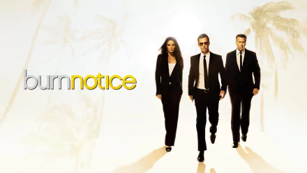 TV Show burn notice HD Desktop Wallpaper | Background Image