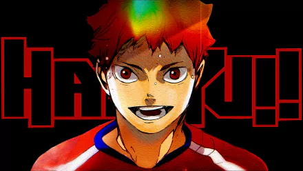  Haikyuu shoyo hinata