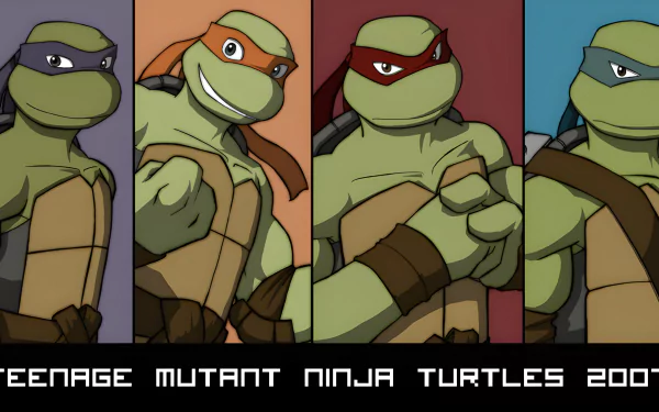  TMNT 2007