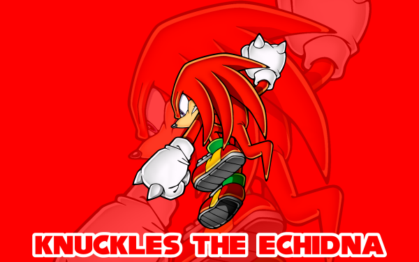 Video Game Sonic Adventure Sonic Knuckles the Echidna Red Echidna Fight Fighter HD Wallpaper | Background Image