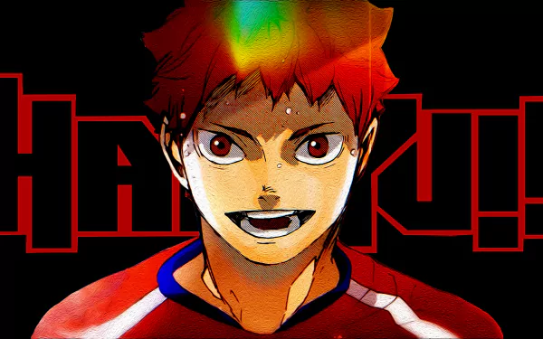  Haikyuu shoyo hinata