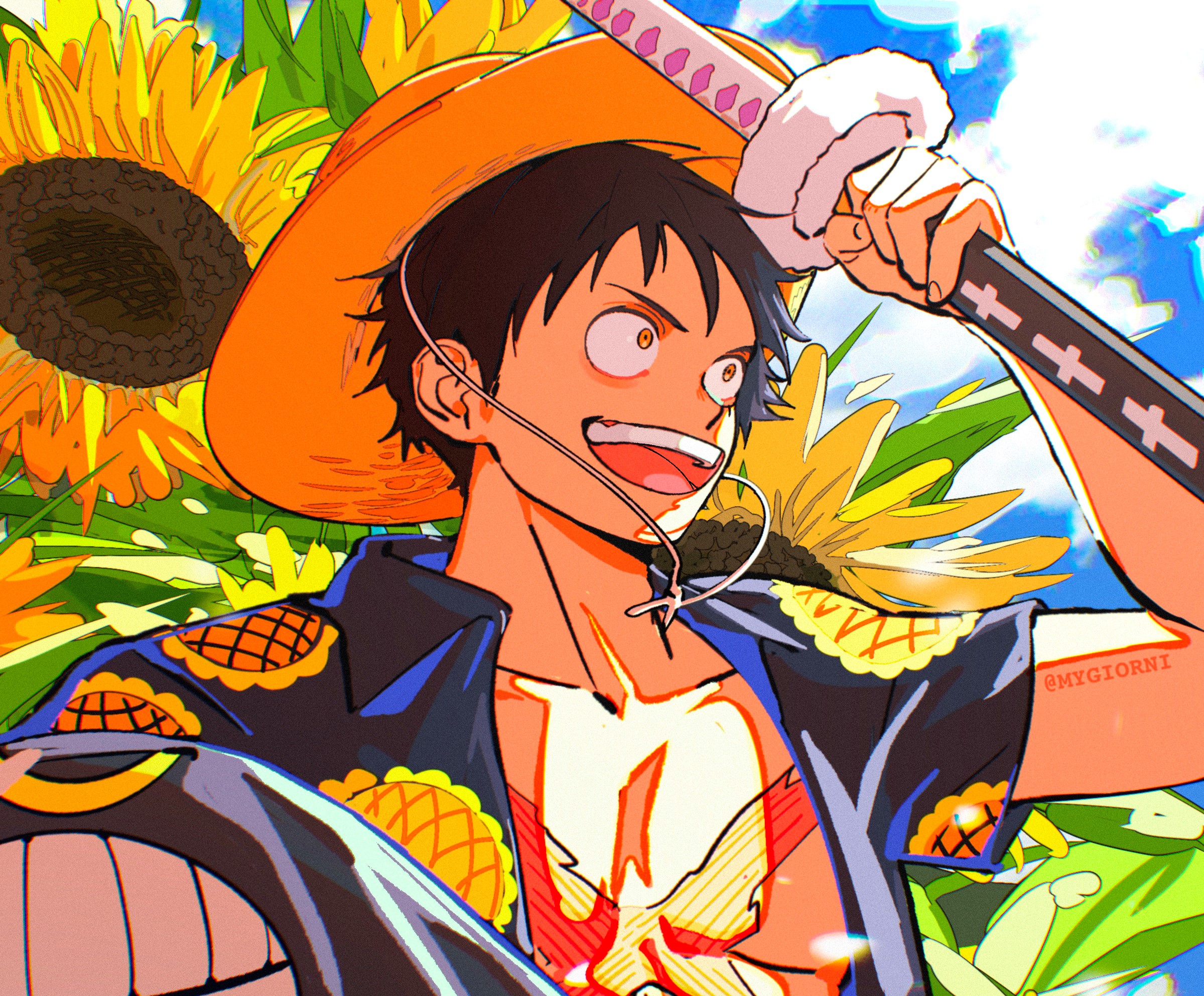 Download Monkey D. Luffy Anime One Piece HD Wallpaper by mygiorni