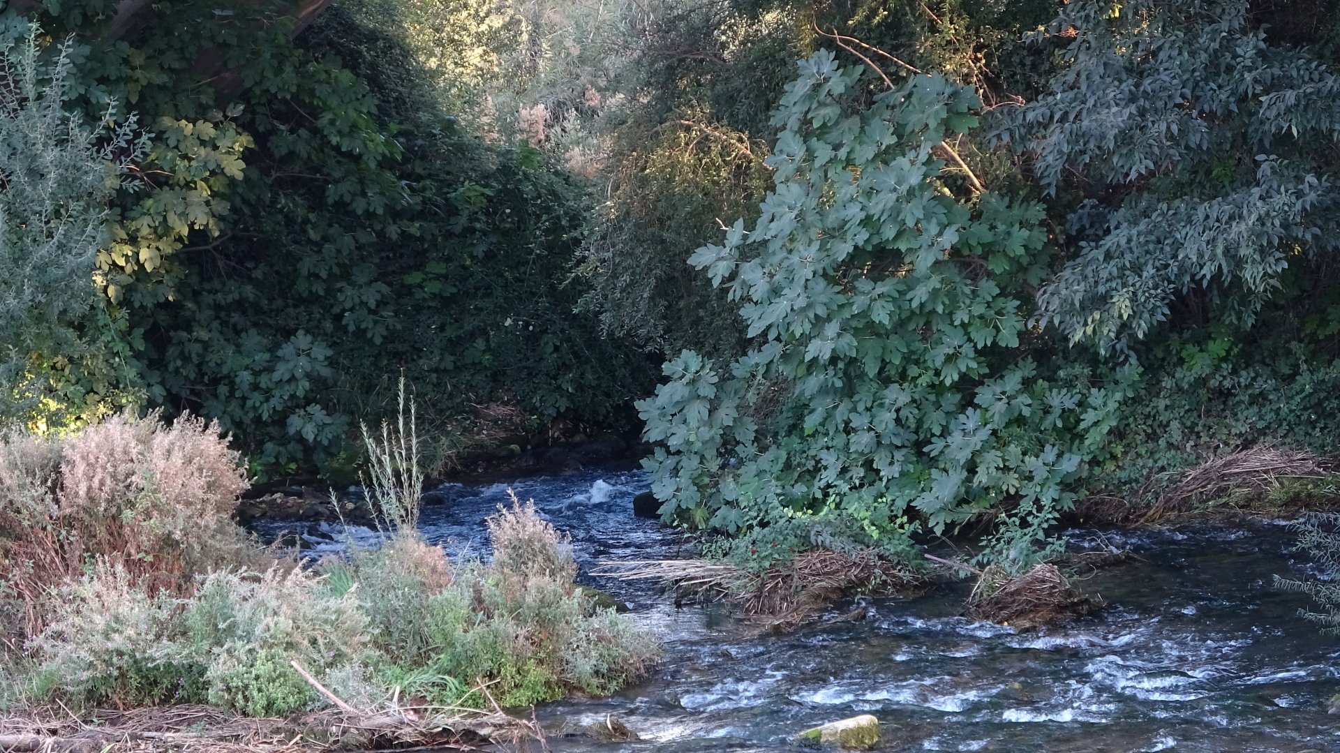 A river in the paradise by luciernaga33