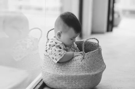 photography child HD Desktop Wallpaper | Background Image