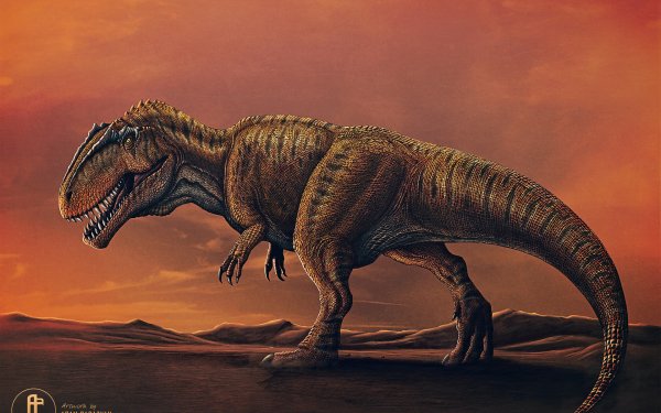 Animal Dinosaur Dinosaurs Giganotosaurus HD Wallpaper | Background Image