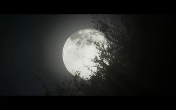  The Quarry : The moon in Hackett's