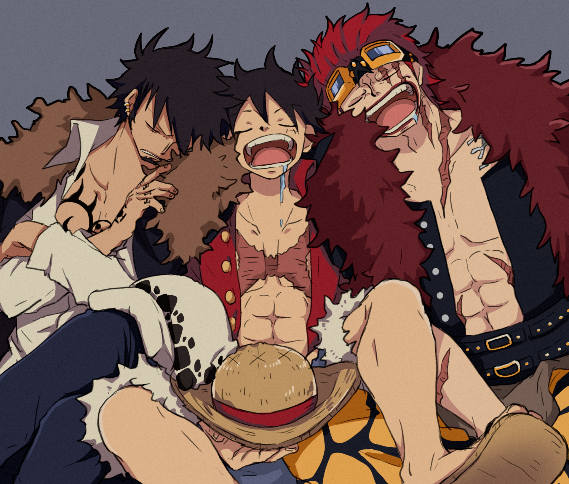 Download Eustass Kid Monkey D. Luffy Trafalgar Law Anime One Piece HD ...