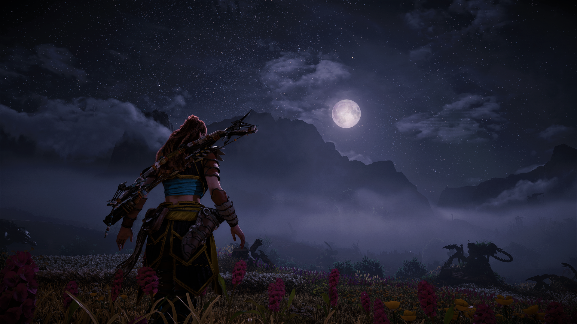 Download Video Game Horizon Forbidden West 4k Ultra HD Wallpaper by Teo_