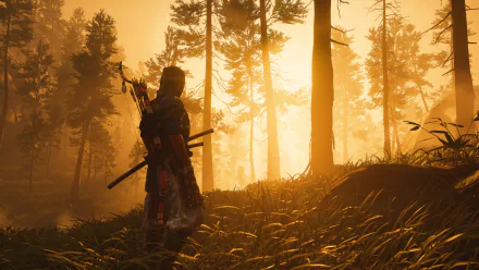 Ghost of Tsushima video game 4K Ultra HD PC wallpaper: lone samurai in a sunlit, golden forest, carrying a bow and sheathed katana.