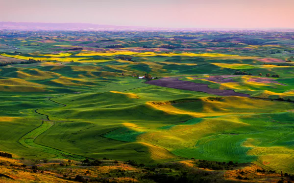 grassland panorama nature landscape HD Desktop Wallpaper | Background Image