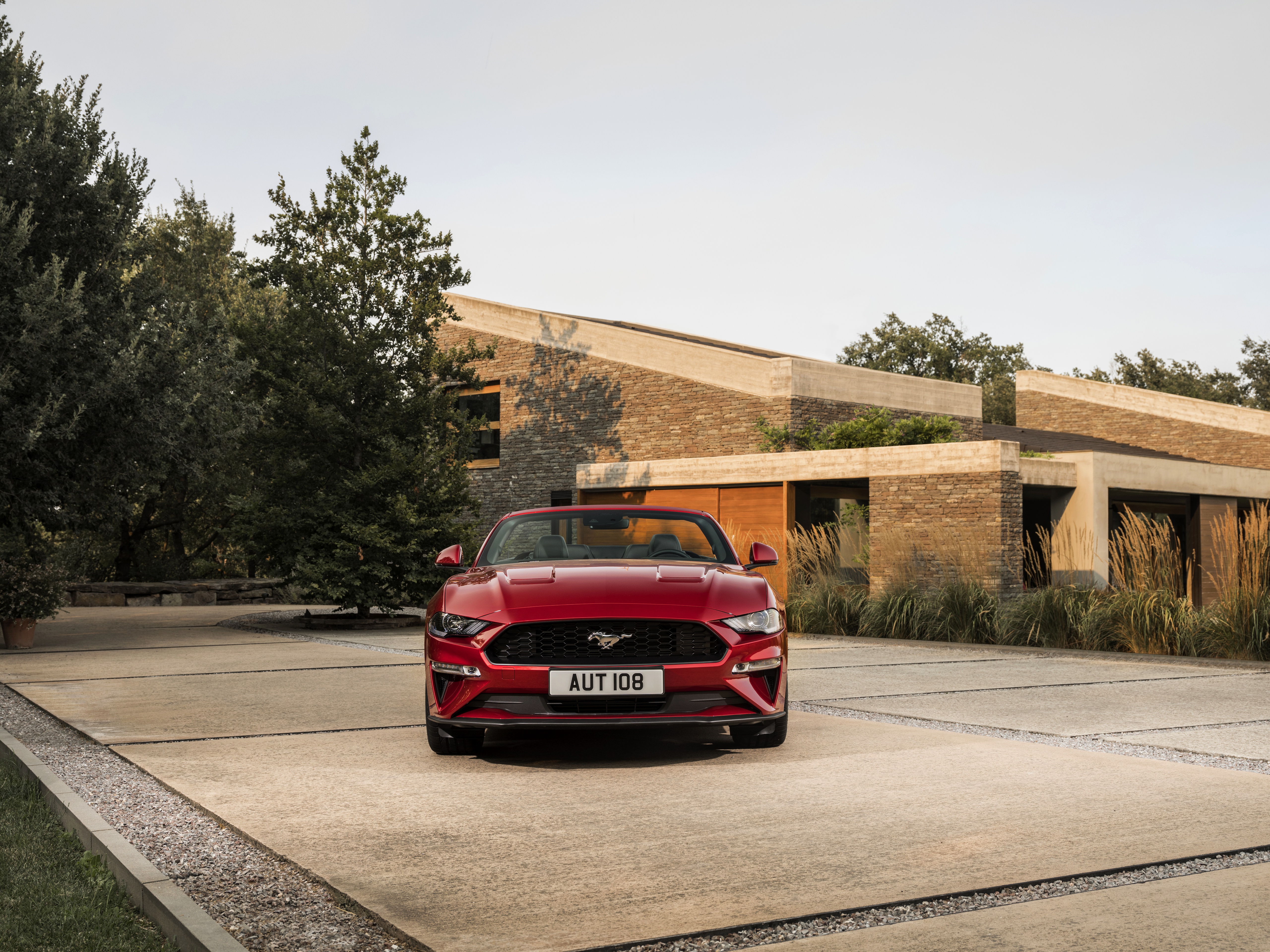 Vehicles Ford Mustang HD Wallpaper | Background Image