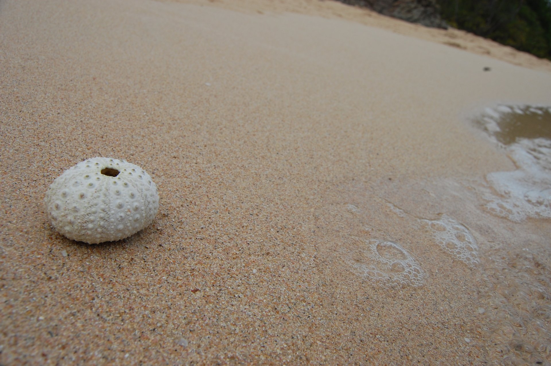 Download Photography Nature HD Wallpaper by BbSGH