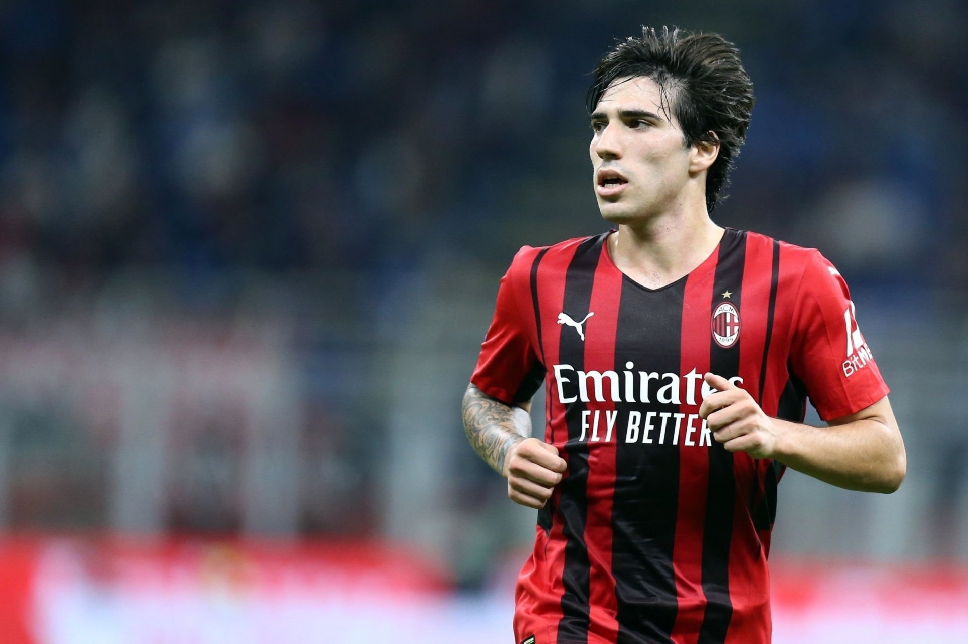 Download A C Milan Sandro Tonali Sports Hd Wallpaper