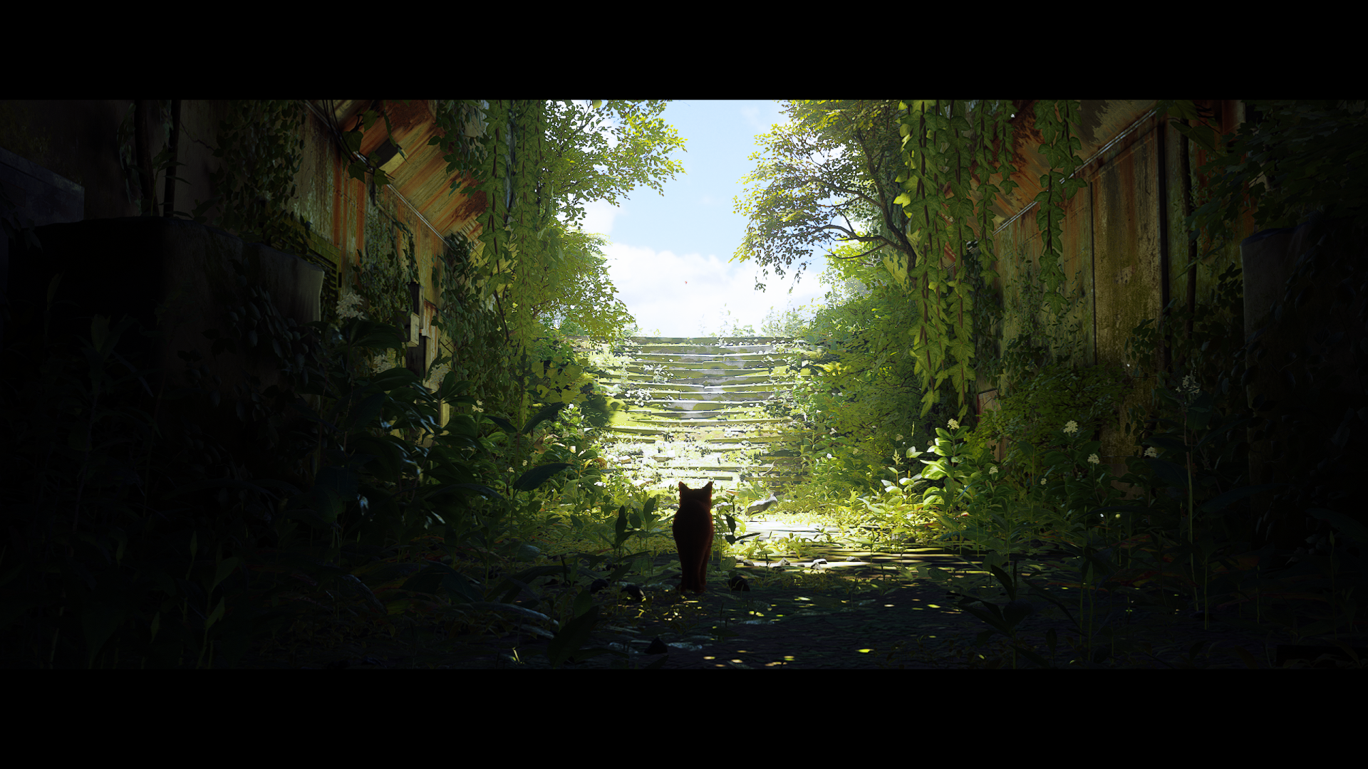 2K Quad HD PC desktop wallpaper/background from the video game Stray: a lone cat silhouette in an overgrown, sunlit urban passage ascending mossy steps toward a bright outdoor exit.