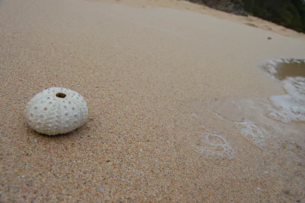 photography nature HD Desktop Wallpaper | Background Image