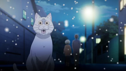 Anime Uzaki-chan Wants to Hang Out HD Desktop Wallpaper | Background Image