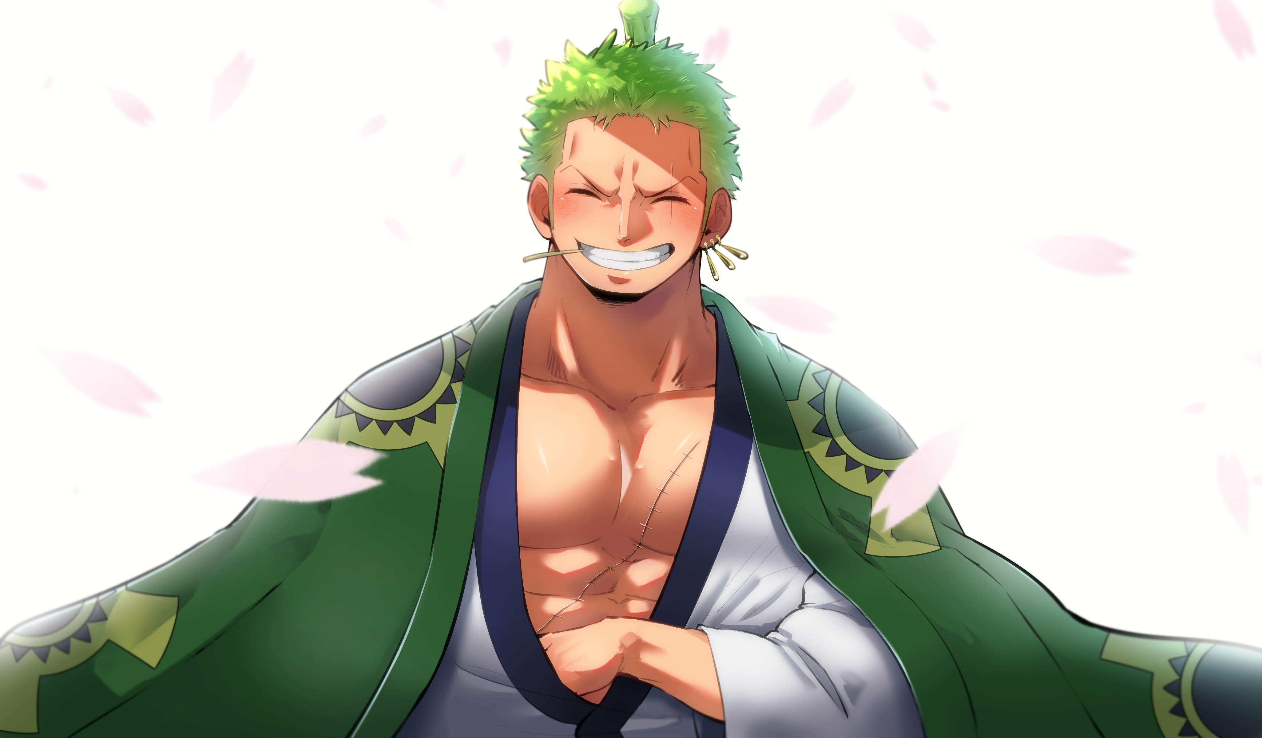 Zoro Roronoa - 1920*1440 - Png - Transparent Background Zoro, HD wallpaper