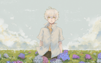 Wallpaper ID: 1288150
