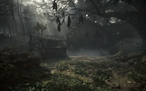 forest wood raven video game A Plague Tale: Requiem HD Desktop Wallpaper | Background Image