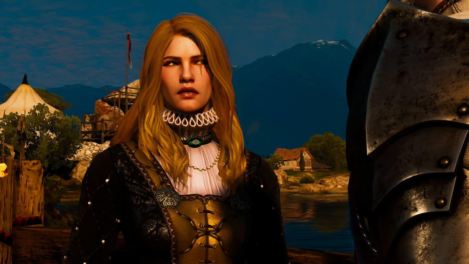 The Witcher 3 Vivienne de Tabris by kinqbert