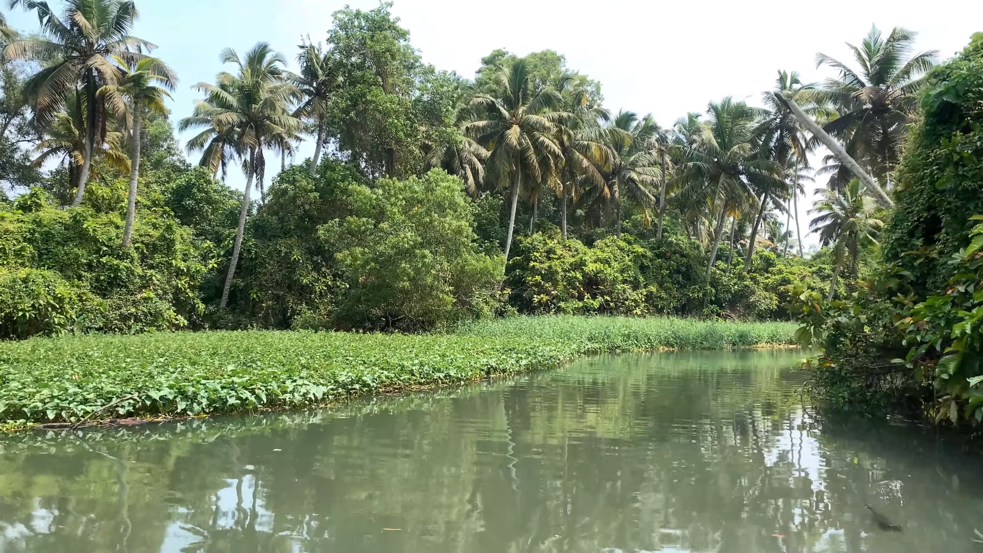 Trivandrum Backwaters by jethiya